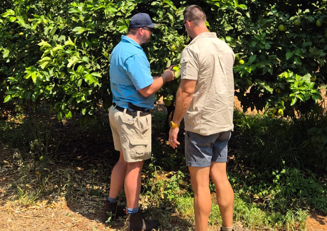 Inteligro | Trusted Intelligent Crop Solutions